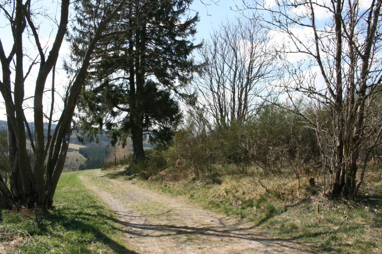 Ferienhaus Zur Ennest Schmallenberg Exteriér fotografie